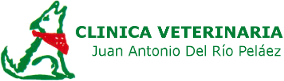 Clínica Veterinaria